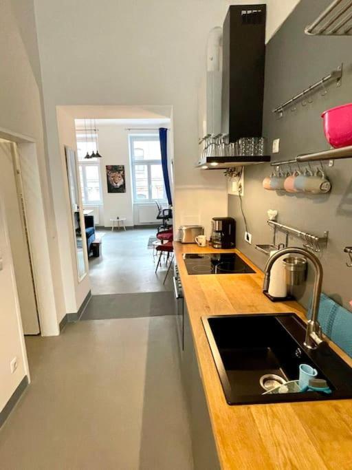 Klimatisierte Sehr Zentrale Wohnung-Loftstyle- Wien Ngoại thất bức ảnh
